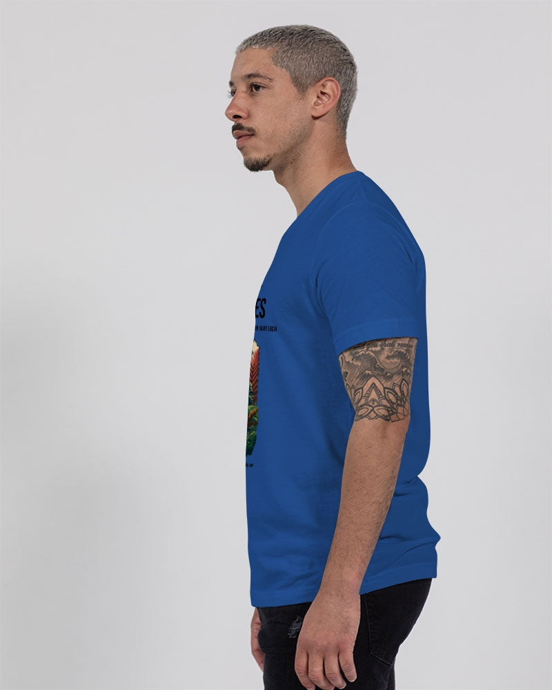 Benjamites West Indies House of Israel Unisex Jersey V-Neck Tee | Bella + Canvas